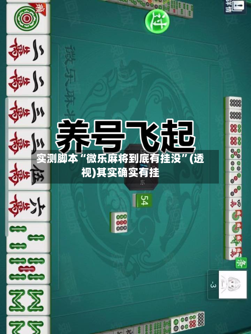 实测脚本“微乐麻将到底有挂没”(透视)其实确实有挂-第2张图片