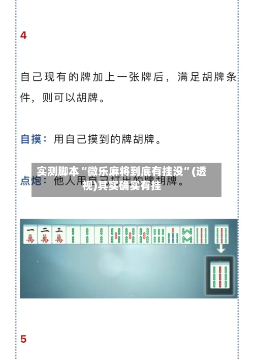 实测脚本“微乐麻将到底有挂没”(透视)其实确实有挂-第3张图片