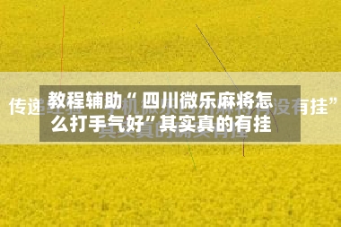 教程辅助“ 四川微乐麻将怎么打手气好	”其实真的有挂-第3张图片