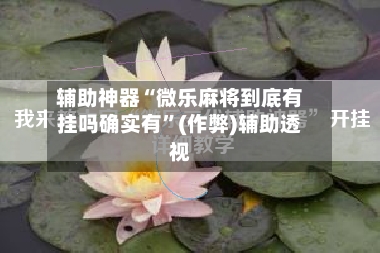 辅助神器“微乐麻将到底有挂吗确实有”(作弊)辅助透视-第3张图片