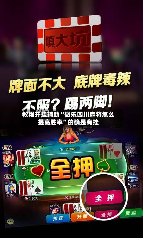 教程开挂辅助“微乐四川麻将怎么提高胜率”的确是有挂-第3张图片