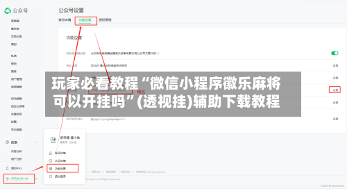 玩家必看教程“微信小程序徽乐麻将可以开挂吗”(透视挂)辅助下载教程-第2张图片