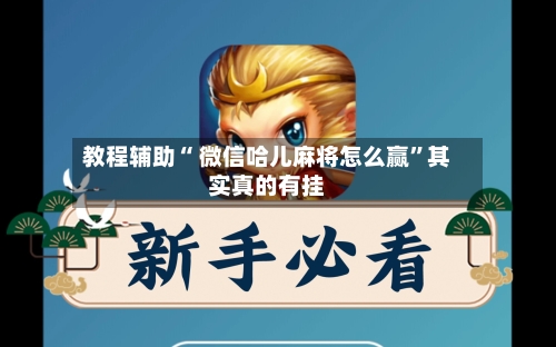 教程辅助“ 微信哈儿麻将怎么赢	”其实真的有挂-第2张图片