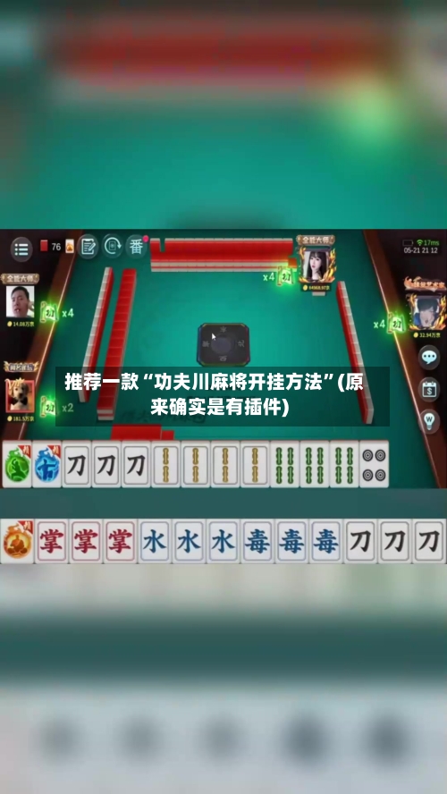 推荐一款“功夫川麻将开挂方法”(原来确实是有插件)-第3张图片