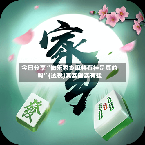 今日分享“微乐家乡麻将有挂是真的吗”(透视)其实确实有挂-第2张图片
