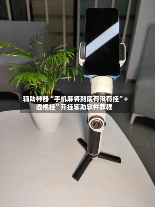 辅助神器“手机麻将到底有没有挂”+透视挂”开挂辅助软件教程-第3张图片