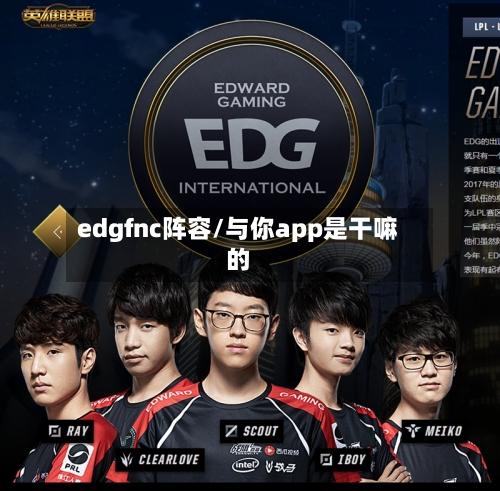 edgfnc阵容/与你app是干嘛的
