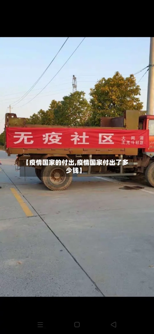 【疫情国家的付出,疫情国家付出了多少钱】