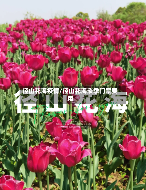 径山花海疫情/径山花海淡季门票费用-第2张图片